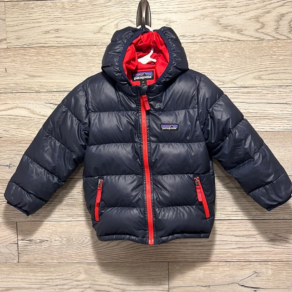 Patagonia winter coat size 3T.